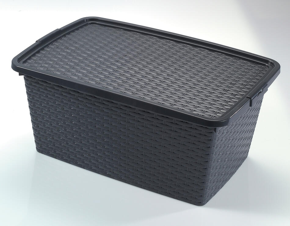 Box s víkem 40 l RATTAN HEIDRUN