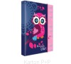 Karton P+P Box na sešity A5 Jumbo Sova 1-416