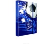 Karton P+P Box na sešity A5 fotbal 1-67617