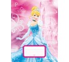 Karton P+P Sešit 524 Princess 1-918