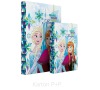 Karton P+P Box na sešity A4 Frozen 3-76217