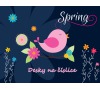 Karton P+P Desky na číslice Spring 3-94017