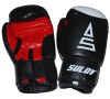 Box rukavice SULOV® DX 8oz., černé