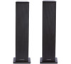 Thomson DS60 duo