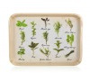 Tác melaminový HERBS 30 x 21,5 cm