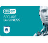 ESET Secure Business (5-10) instalace, 1 rok
