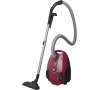 Sáčkový vysavač Electrolux PowerForce EPF61RR