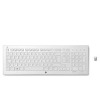 HP Wireless K5510 Keyboard - KEYBOARD - anglická (H4J89AA#ABB)