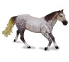 Quarter horse grošák