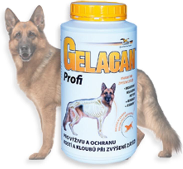 Gelacan plus Profi plv 1000g