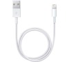 ME291ZM/A iPhone Lightning Datový Kabel 0,5m White (Bulk)