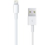 DATOVÝ KABEL USB BÍLÝ S DOB. PRO APPLE IPHONE 5 CPA
