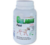 Gelacan Fast plv 150g
