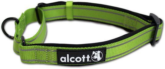 Alcott Reflexní obojek pro psy Martingale zelený velikost M