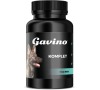 Gavino KOMPLET 120 cps.
