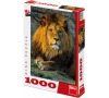 Zamyšlený lev 1000D