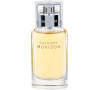 Toaletní voda Davidoff Horizon, 40 ml
