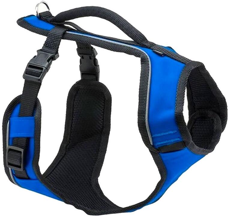 PetSafe® Postroj EasySport modrý L