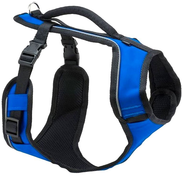 PetSafe® Postroj EasySport modrý M