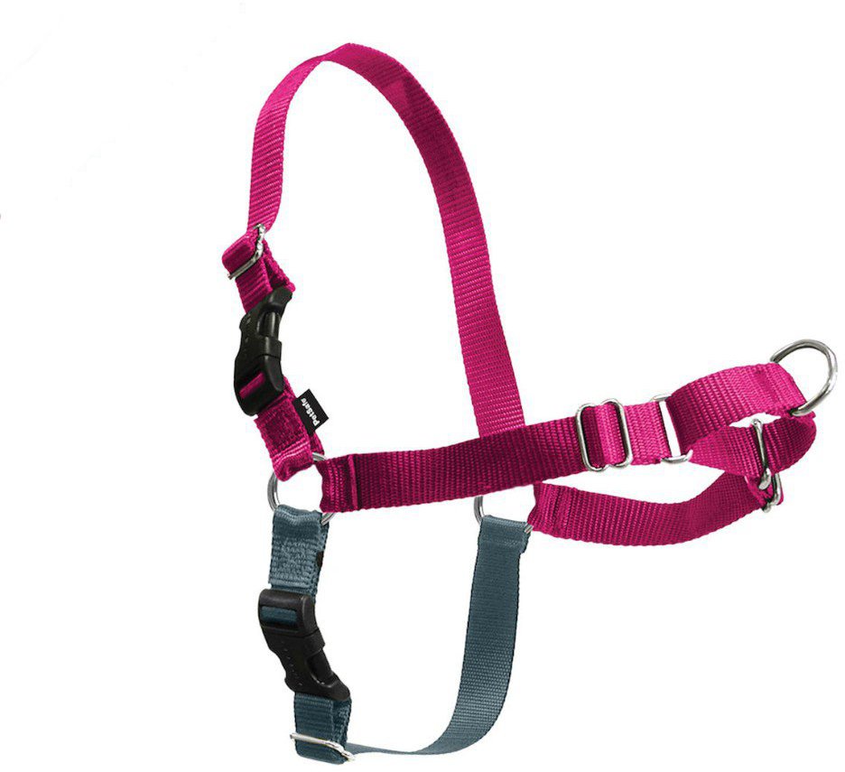 PetSafe® Postroj EasyWalk malinový M