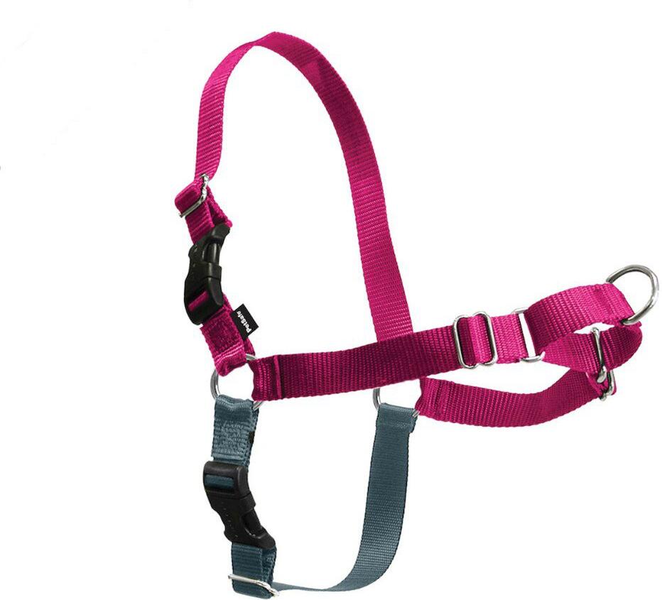 PetSafe® Postroj EasyWalk malinový L