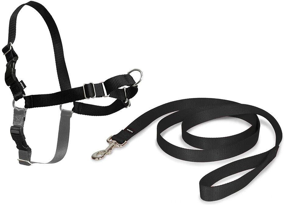 PetSafe® Postroj EasyWalk černý XL