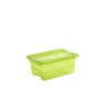 Keeeper Transparetní úložný box cornelia, zelený 4L
