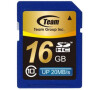 TEAM 16GB Secure Digital SDHC/ Class 10 (TSDHC16GCL1001)