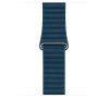 Watch Acc/42/Cosmos Blue Leather Loop - M (MQV52ZM/A)
