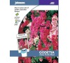 Zářivka „Azalea double mixed“ JOHNSONS