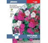 Petúnie „Bedding mixed“ JOHNSONS