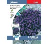 Lobelka „Crystal Palace“ JOHNSONS