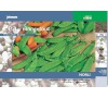 Hrách „Norli mangetout“ JOHNSONS