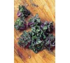 KAPUSTA PETIT POSY JOHNSONS
