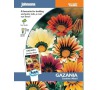 Gazánie „Sunshine Mixed“ JOHNSONS