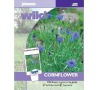 Chrpa „Cornflower“ JOHNSONS
