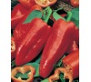 Paprika SWEET ROMANO JOHNSONS