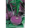KEDLUBNA PURPLE VIENNA JOHNSONS