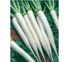 Ředkev daikon mooli MINOWASE NR 2 JOHNSONS