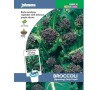 Brokolice „Sprouting Early Purple“ JOHNSONS