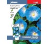 Povíjnice „Heavenly Blue“ JOHNSONS