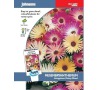 Kosmatec „Livingstone Daisy Mixed“ JOHNSONS