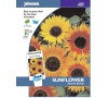 Slunečnice „Autumn Beauty“ JOHNSONS