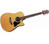 LITE-DE/CD WESTERN. KYTARA CRAFTER