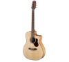 O-550 CE WESTERN GUITAR WALDEN