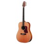 D-670 WESTERN GUITAR WALDEN