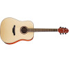 HD-200/S.N WESTERN GUITAR CRAFTER