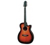 HDC-100SEQ/TS WESTERN GUITAR CRAFTER