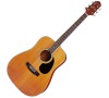 HD-24/CD WESTERN GUITAR CRAFTER