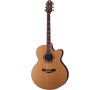STG J-18ce W/SJ-M KYTARA CRAFTER